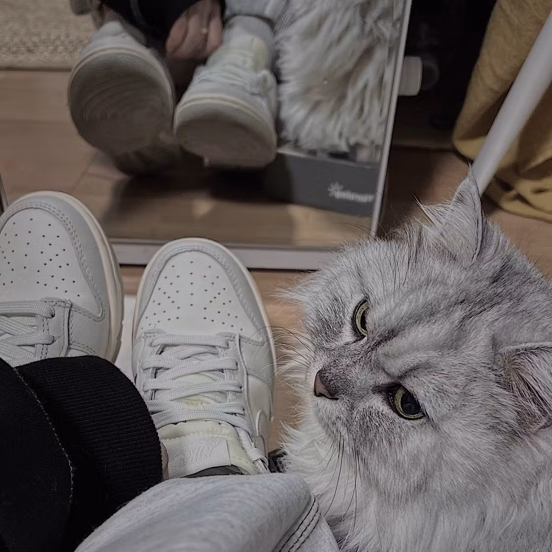 (Women) Nike Dunk Low 'Light Bone' DD1503-107 (Women) Nike Dunk Low 'Light Bone' DD1503-107